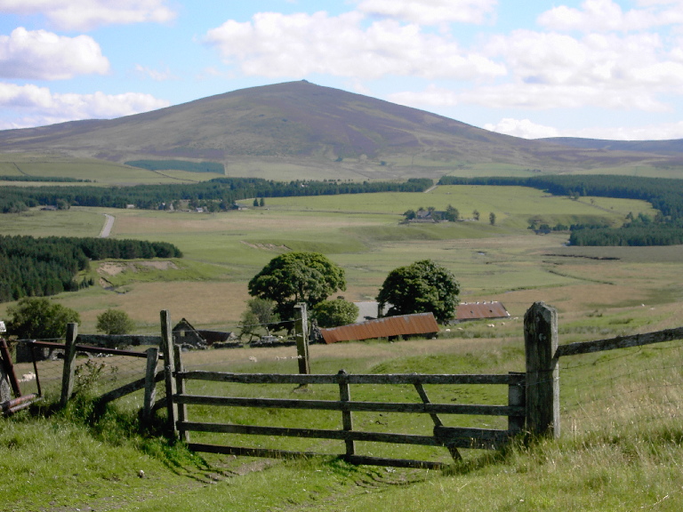 Picture of Tornichelt, Cabrach