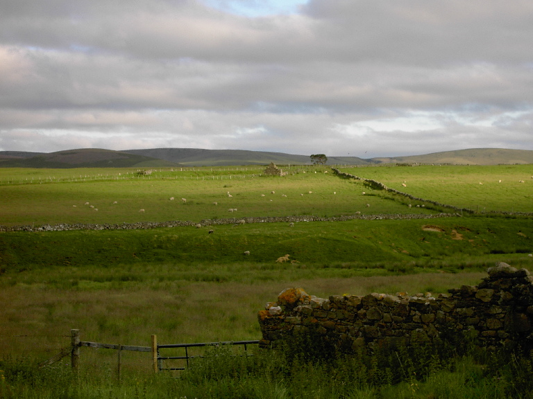 Picture of Whitehillock, Cabrach