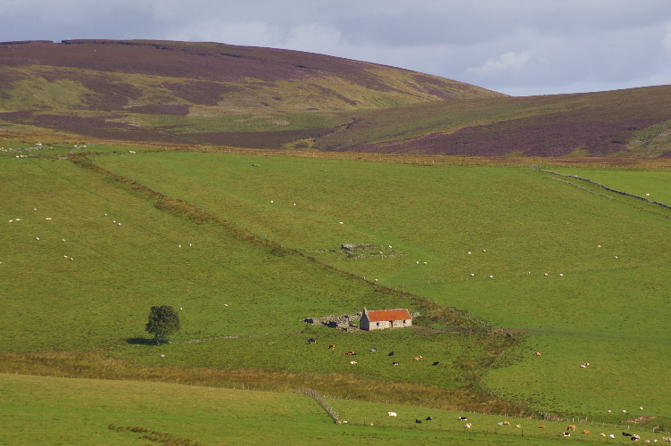 Picture of Bowmans, Cabrach